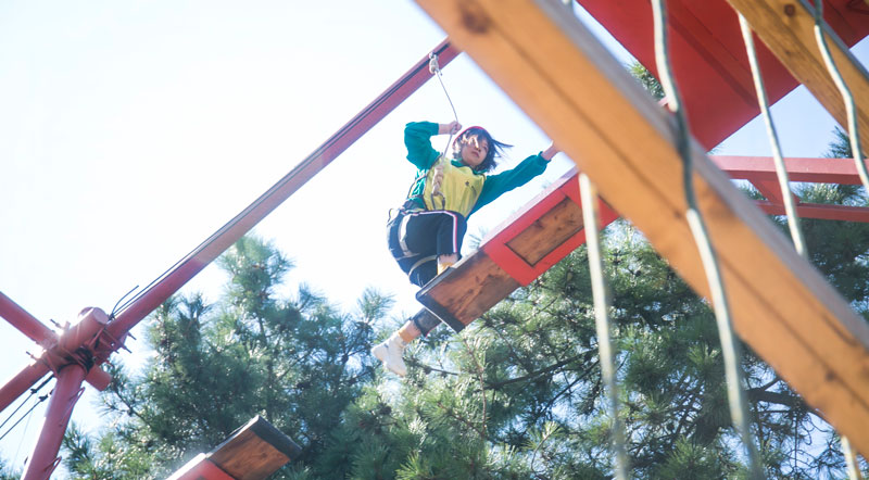 拓展訓(xùn)練　斷橋